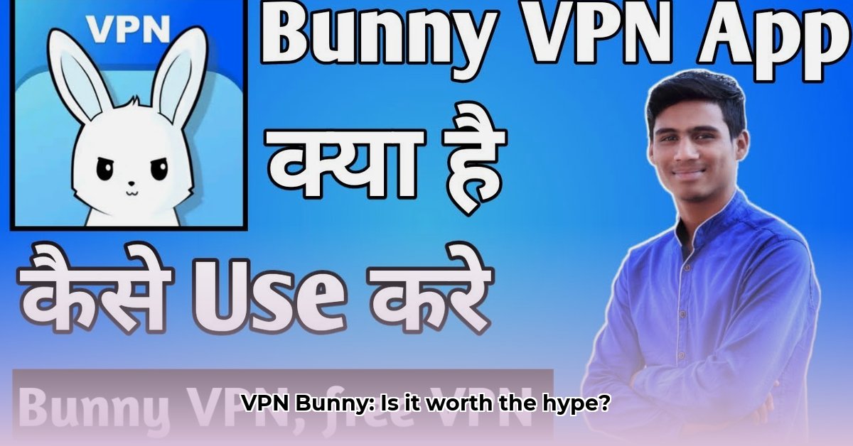 vpn-bunny